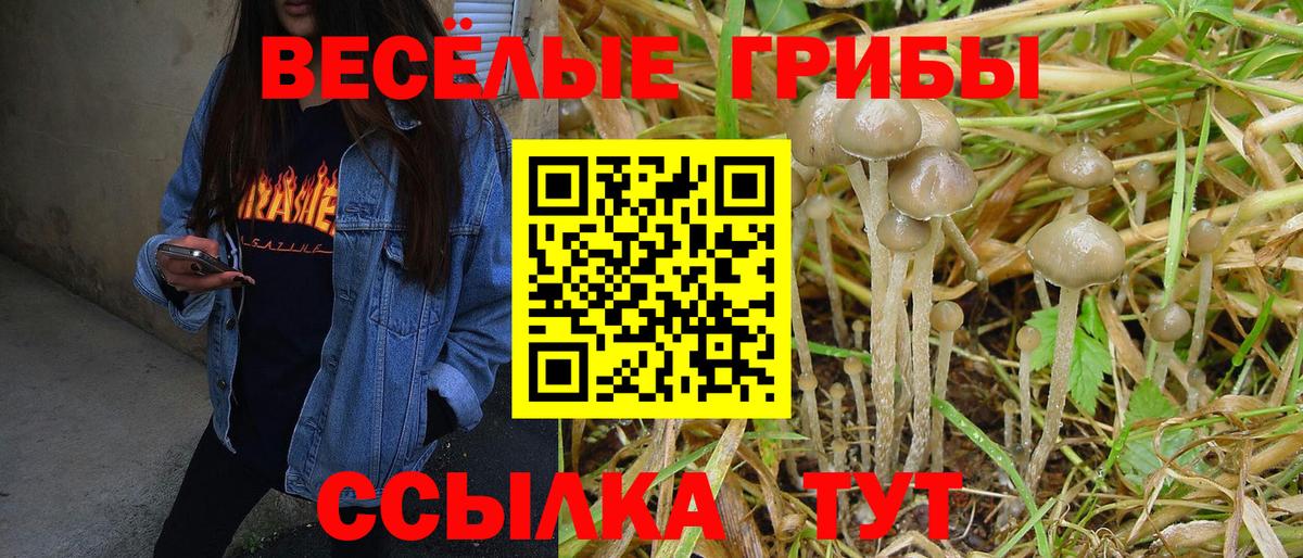 Псилоцибиновые грибы мицелий Балашов