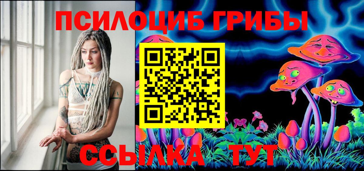 Псилоцибиновые грибы прущие грибы  Вход с VPN  Балашов 